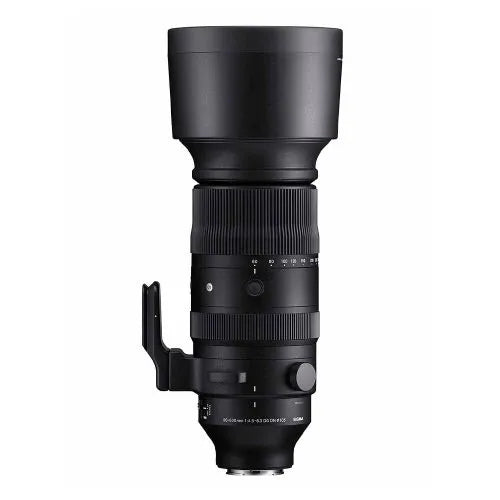 Sigma 60-600mm F4.5-6.3 DG OS HSM Sports